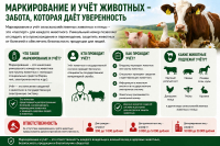Информация!