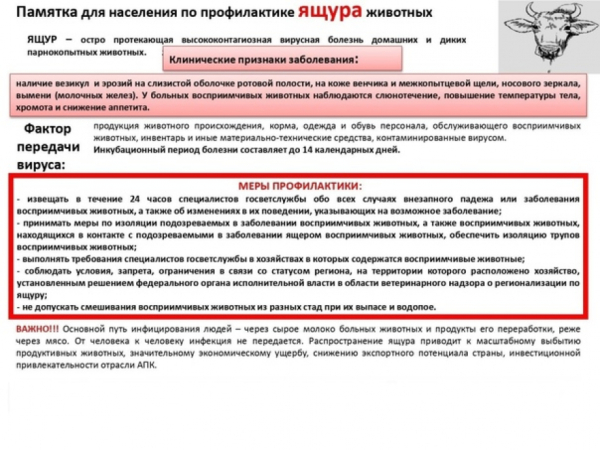 Внимание!