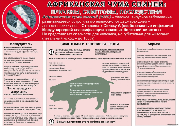 Информация!